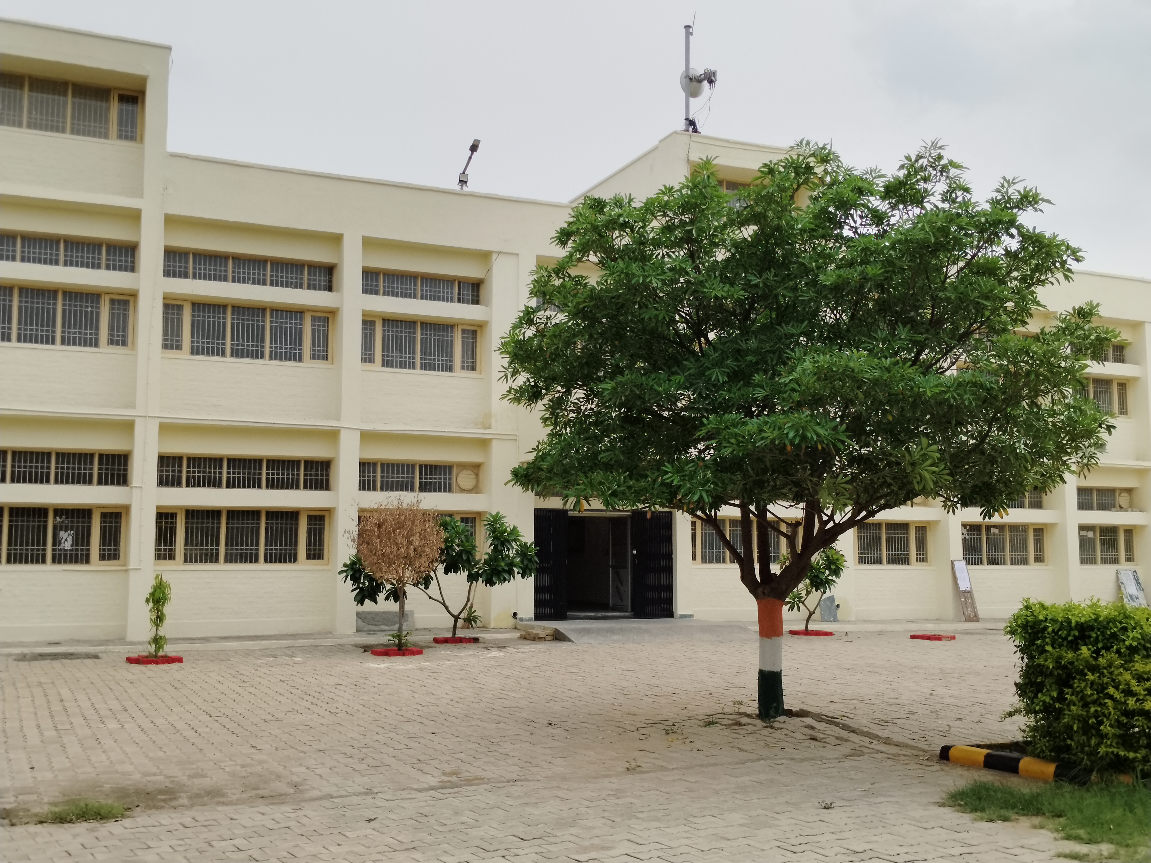 College Banner 2