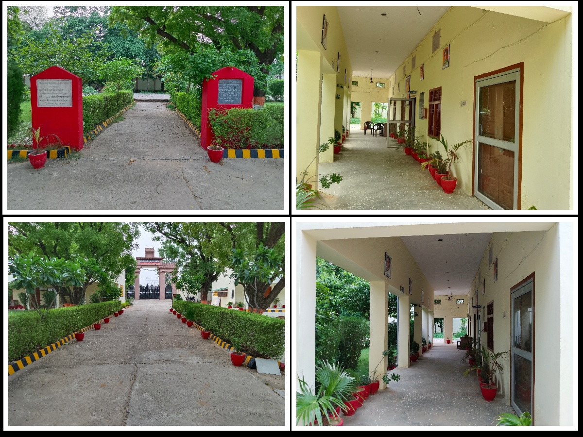 College Banner 4